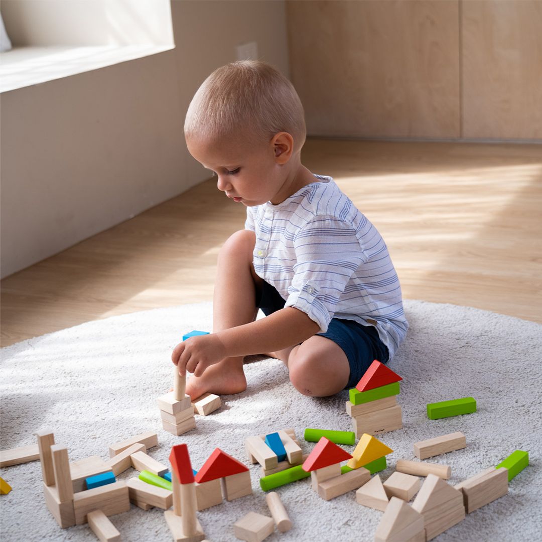 Wooden Building Blocks