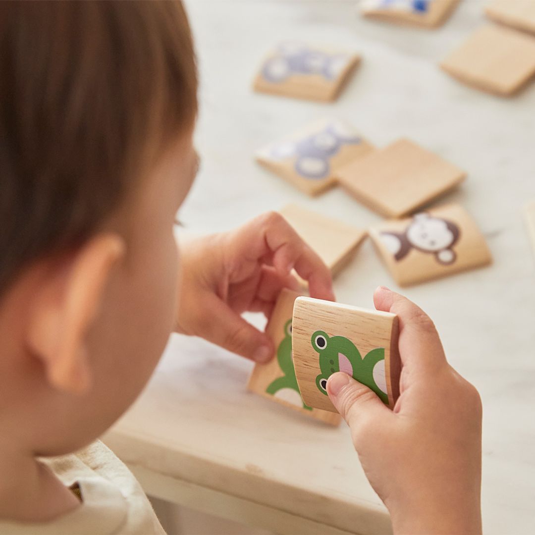 Animals Memory Tiles