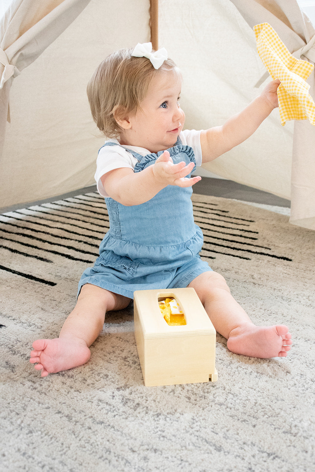 The Tissue Box